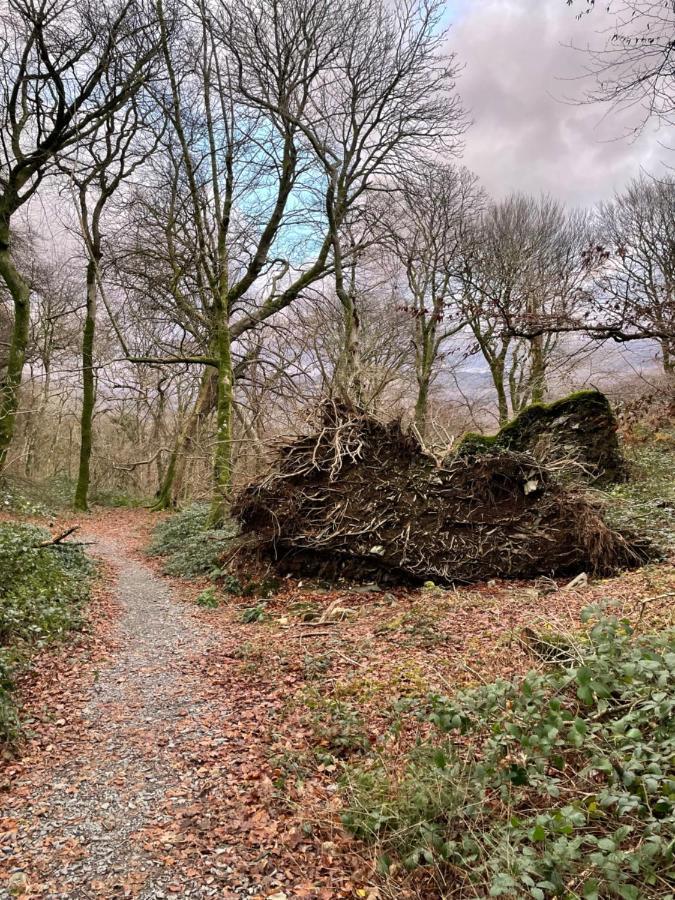 Snowdonia Holidays Caravan Hire - Aberdunant Park - 111 Silver Birch Porthmadog Εξωτερικό φωτογραφία